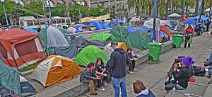 Occupy sf