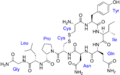 Oxytocin with labels