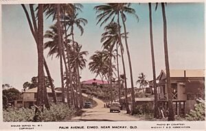 Palm Avenue, Eimeo near Mackay, Qld - circa 1940