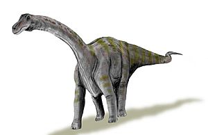 Rapetosaurus BW