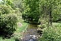 Raven Creek