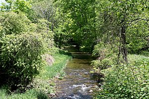 Raven Creek