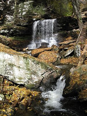 Ricketts Glen State Park B. Reynolds Falls 7