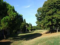 Rimini Parco Cervi