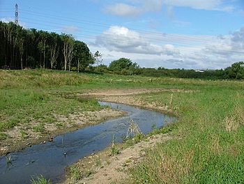 River Ray new meandering channel at Rivermead - geograph.org.uk - 354466.jpg