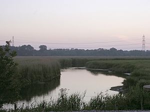 River Test at dusk, Totton - geograph.org.uk - 26829.jpg