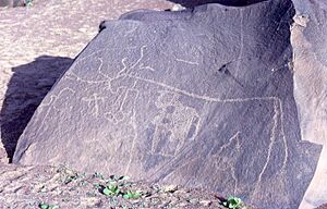 Rock Art Mauritania