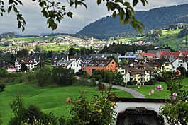 Samstagern - Schindellegi-Höhronen - Wädenswil Neuguet 2011-09-05 17-45-52.jpg