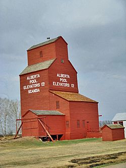 Last remaining prairie grain elevator in the Scandia district.