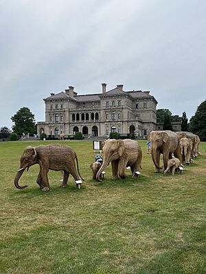 Seven elephants