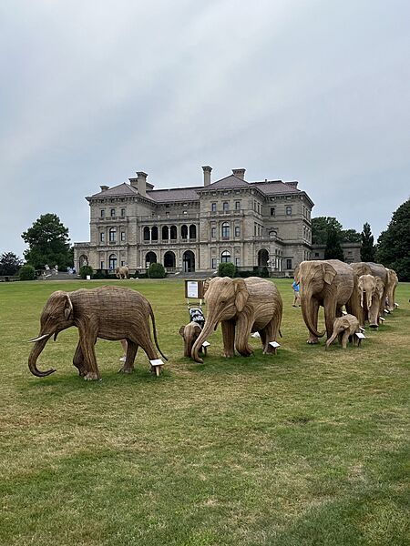 Seven elephants