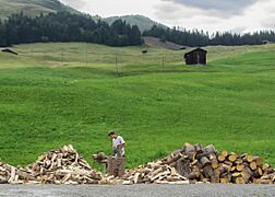 Splitting wood in Tenna