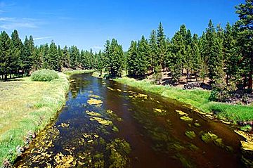 Sprague River (Klamath County, Oregon scenic images) (klaDA0073).jpg