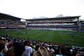 Stormers rugby