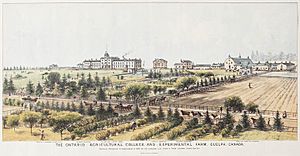 The Ontario Agricultural College and Experimental Farm, Guelph, Canada, 1889