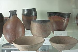 The distinctive black-topped Egyptian pottery of the PreDynastic period associated with Flinders Petrie's Sequence Dating System