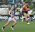 Tyson Stengle mark VFL July17