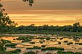 Utica Marsh at Sunset