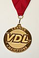 Vancouver Dodgeball League champion medal