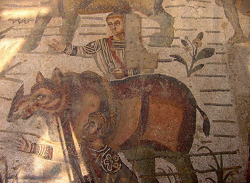 Villa Del Casale Grande Chasse-2