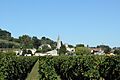 Vue du bourg de Saint-Michel de Fronsac depuis les vignes