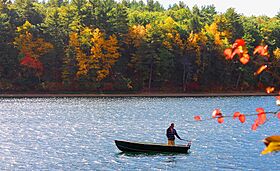 Walden Pond2.jpg