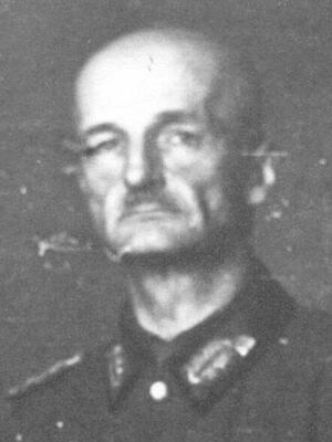 Werner von Erdmannsdorff (cropped)