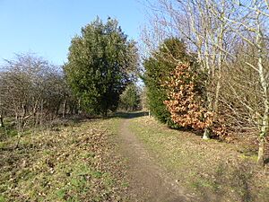 West Park, Uckfield (6)