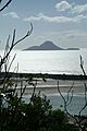 Whale island nz