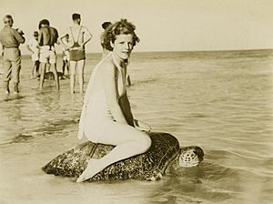 Woman riding turtle at Mon Repos