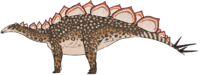 Wuerhosaurus homheni.png