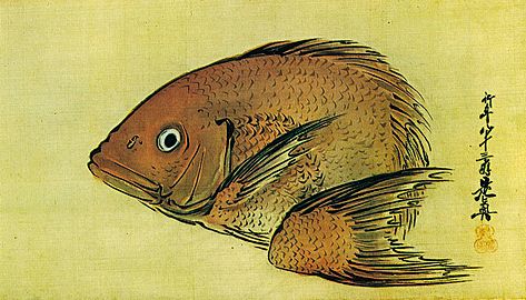'A Tai Fish' by Shibata Zeshin, Honolulu Museum of Art 4597.1