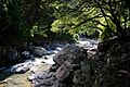 130928 Settsu-kyo Gorge Takatsuki Osaka pref Japan03s3