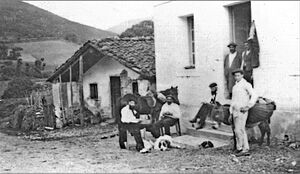 1898 urtoko pottoka eta artzanora