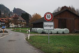 2011-11-11-Mezlando (Foto Dietrich Michael Weidmann) 230.JPG