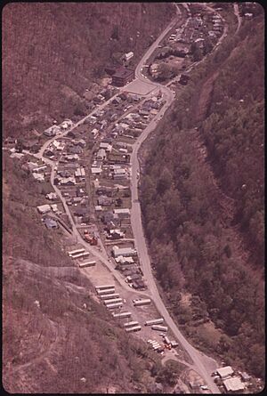 AERIAL VIEW OF CHATTAROY, WEST VIRGINIA, NEAR WILLIAMSON SHOWING THE SCHOOL NEAR THE TOP OF THE PICTURE. THERE IS NO... - NARA - 556463