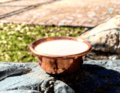 A bowl of milk for the shaman rite. Buryatia. Russia