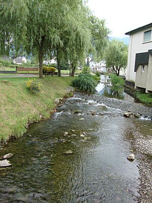 Arette (Pyr-Atl, Fr) le Vert d'Arette, 2