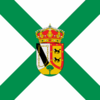 Flag of Villaverde de Íscar