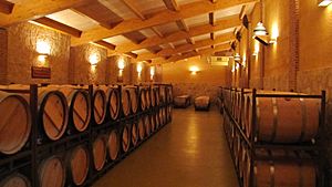 Barricas Bodega Viña Sastre - Hermanos Sastre Ribera del Duero