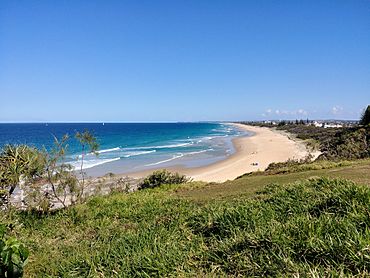 Beach at Buddina, Sunshine Coast, Queensland.jpg