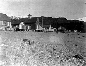 Beach at Seldovia, Alaska, June 21, 1908 (COBB 175)