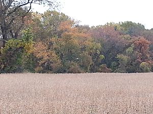 Beaver Valley Field in Autumn