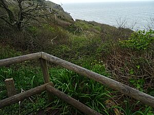 Blackgang Chine, view to the coast