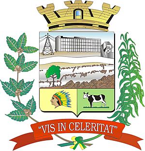 Brasão Salto Grande