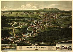 Bird's eye view of 1888 Bridgton