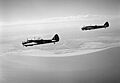 Bristol Blenheim - Syria - Royal Air Force Operations in the Middle East and North Africa, 1939-1943. CM990