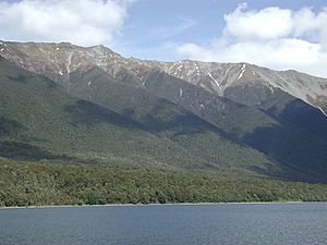 Bush-clad slopes behind Lake Rotoiti