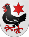 CHE Finsterhennen COA