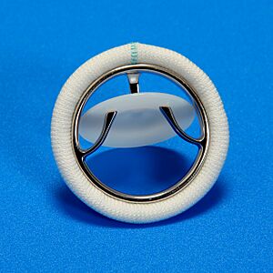 Chitra Valve
